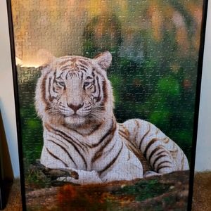 Tiger puzzle picture
